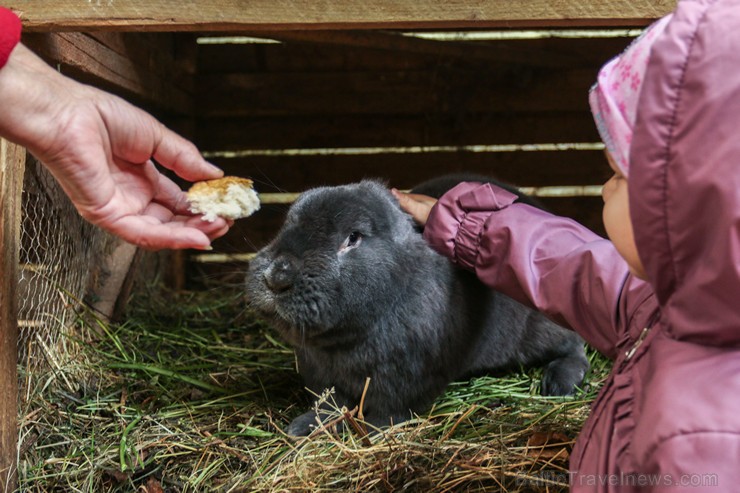 Travelnews.lv apskata mini zoo «Bērzkalni» 162139