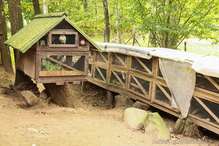 Travelnews.lv apskata mini zoo «Bērzkalni» 162142