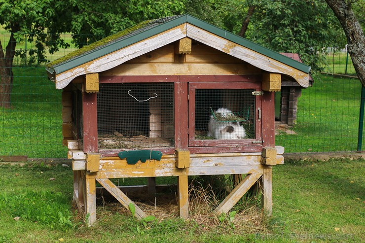 Travelnews.lv apskata mini zoo «Bērzkalni» 162151