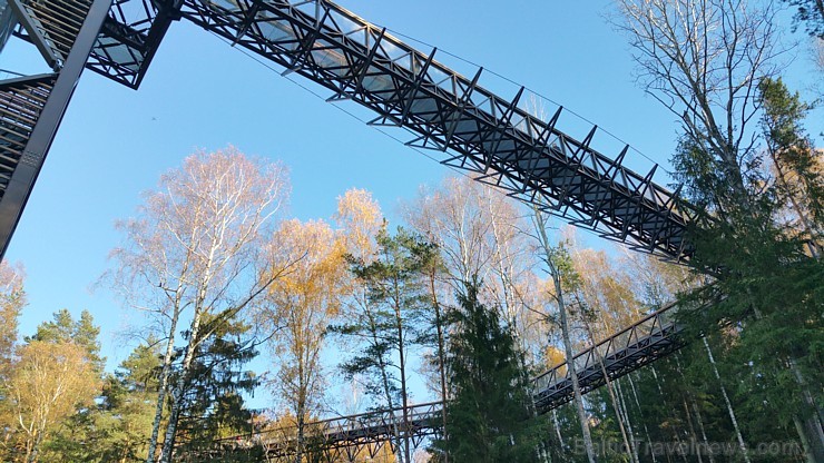 Travelnews.lv sadarbībā ar autonomu Sixt.lv iepazīst Lietuvas koku galotņu taku, kas atrodas 60 km no Paņevežas jeb 10 km no Anīkščai Travelnews.lv sadarbībā ar autonomu Sixt.lv iepazīst Lietuvas koku galotņu taku, kas atrodas 60 km no Paņevežas jeb 10 km no Anīkščai 164078