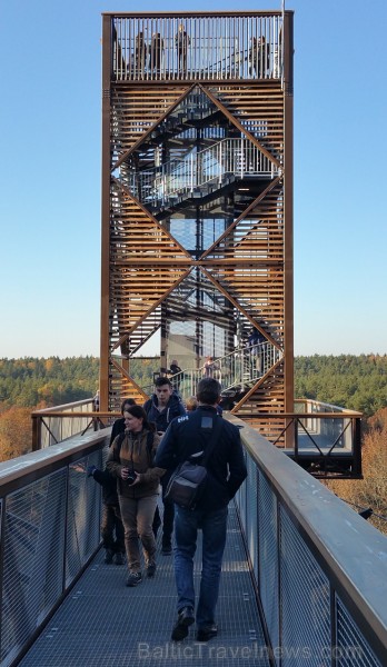 Travelnews.lv sadarbībā ar autonomu Sixt.lv iepazīst Lietuvas koku galotņu taku, kas atrodas 60 km no Paņevežas jeb 10 km no Anīkščai Travelnews.lv sadarbībā ar autonomu Sixt.lv iepazīst Lietuvas koku galotņu taku, kas atrodas 60 km no Paņevežas jeb 10 km no Anīkščai 164091