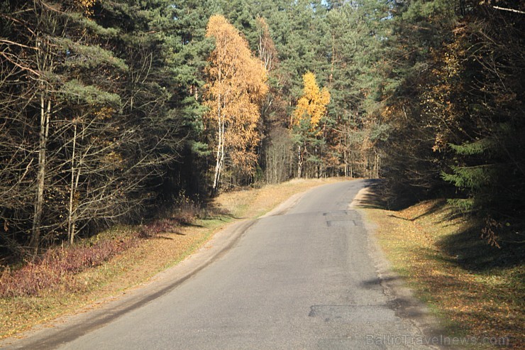 Travelnews.lv sadarbībā ar autonomu Sixt.lv iepazīst Lietuvas koku galotņu taku, kas atrodas 60 km no Paņevežas jeb 10 km no Anīkščai Travelnews.lv sadarbībā ar autonomu Sixt.lv iepazīst Lietuvas koku galotņu taku, kas atrodas 60 km no Paņevežas jeb 10 km no Anīkščai 164103