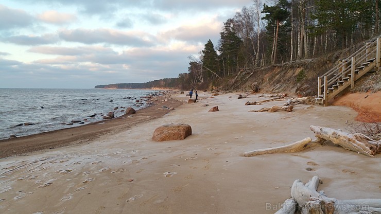 Viens no skaistākajiem Latvijas pārgājiena maršrutiem Vidzemes jūrmalā ir Tūja - Veczemju klintis Viens no skaistākajiem Latvijas pārgājiena maršrutiem Vidzemes jūrmalā ir Tūja - Veczemju klintis 167000