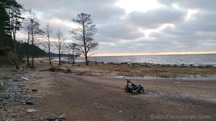 Viens no skaistākajiem Latvijas pārgājiena maršrutiem Vidzemes jūrmalā ir Tūja - Veczemju klintis Viens no skaistākajiem Latvijas pārgājiena maršrutiem Vidzemes jūrmalā ir Tūja - Veczemju klintis 167003