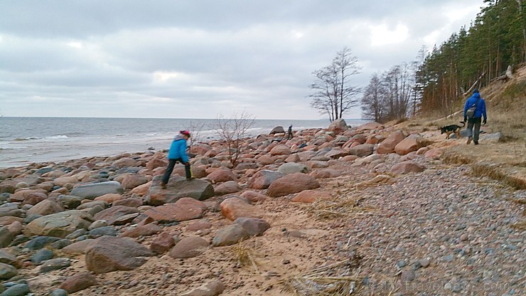 Viens no skaistākajiem Latvijas pārgājiena maršrutiem Vidzemes jūrmalā ir Tūja - Veczemju klintis Viens no skaistākajiem Latvijas pārgājiena maršrutiem Vidzemes jūrmalā ir Tūja - Veczemju klintis 167009