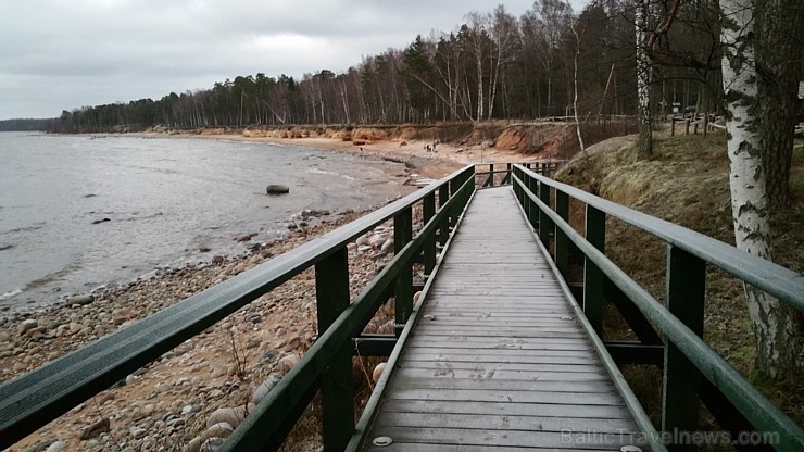Viens no skaistākajiem Latvijas pārgājiena maršrutiem Vidzemes jūrmalā ir Tūja - Veczemju klintis Viens no skaistākajiem Latvijas pārgājiena maršrutiem Vidzemes jūrmalā ir Tūja - Veczemju klintis 167014