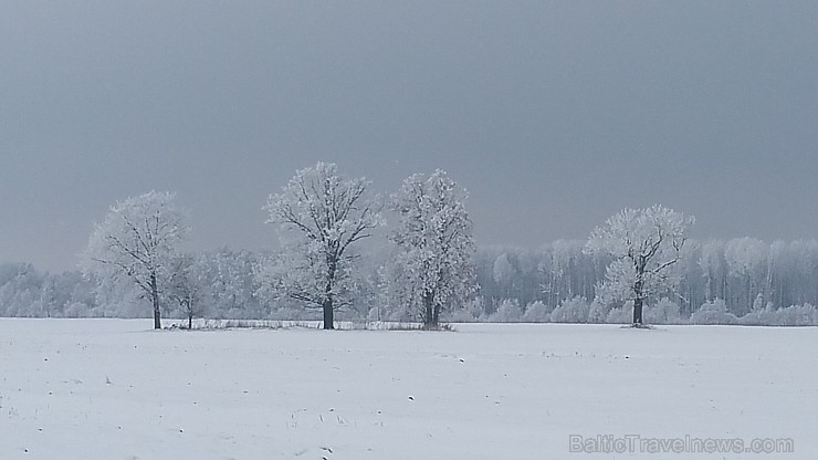 Travelnews.lv apciemo Zemgales jauno restorānu «Zoltners» Kroņaucē 167396