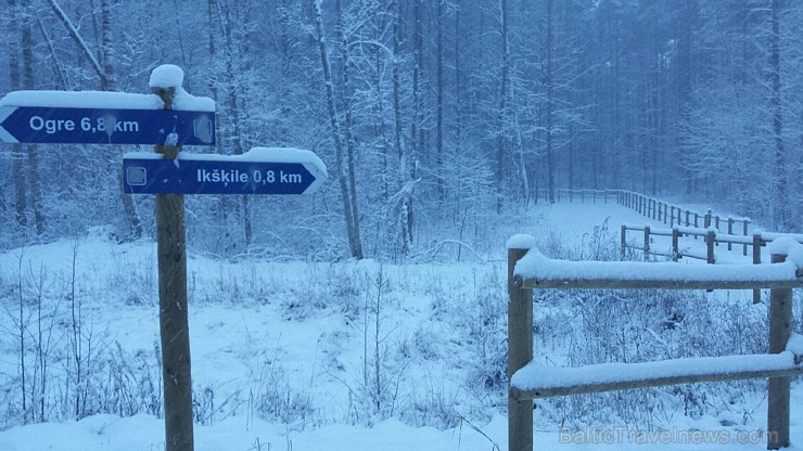 Zilo kalnu distanču slēpošanas trase, Ogres un Ikšķiles tuvumā, pulcē daudzus slēpošanas entuziastus, sportistus un dabas mīļotājus Zilo kalnu distanču slēpošanas trase, Ogres un Ikšķiles tuvumā, pulcē daudzus slēpošanas entuziastus, sportistus un dabas mīļotājus 167675