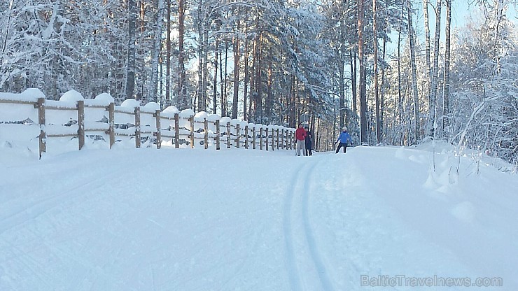 Zilo kalnu distanču slēpošanas trase, Ogres un Ikšķiles tuvumā, pulcē daudzus slēpošanas entuziastus, sportistus un dabas mīļotājus Zilo kalnu distanču slēpošanas trase, Ogres un Ikšķiles tuvumā, pulcē daudzus slēpošanas entuziastus, sportistus un dabas mīļotājus 167694