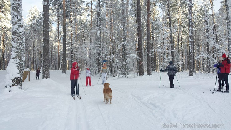 Zilo kalnu distanču slēpošanas trase, Ogres un Ikšķiles tuvumā, pulcē daudzus slēpošanas entuziastus, sportistus un dabas mīļotājus Zilo kalnu distanču slēpošanas trase, Ogres un Ikšķiles tuvumā, pulcē daudzus slēpošanas entuziastus, sportistus un dabas mīļotājus 167695