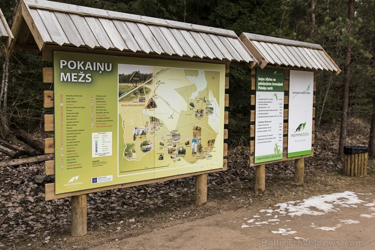 Akmeņu upes un krāvumi, neskaitāmas akmeņu kaudzītes un savdabīgi akmeņi - vientuļnieki ir bijuši par pamatu tam, ka mežs apaudzis ar fantastiskiem mi Akmeņu upes un krāvumi, neskaitāmas akmeņu kaudzītes un savdabīgi akmeņi - vientuļnieki ir bijuši par pamatu tam, ka mežs apaudzis ar fantastiskiem mi 170544