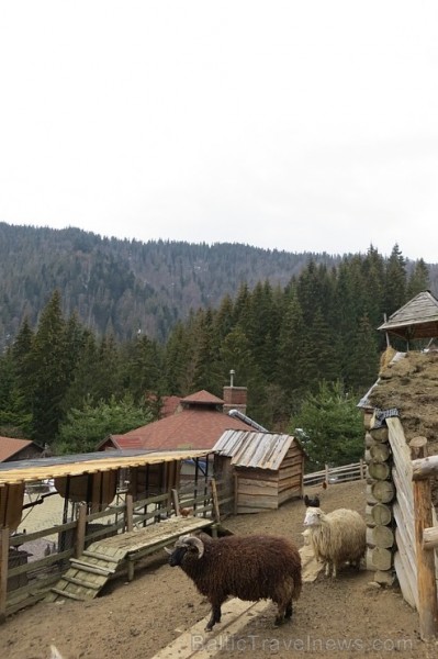 Viesmīlīgie Karpati - Ukrainas reģions, kur ikviens var smelties enerģiju no dabas un cilvēkiem 170883