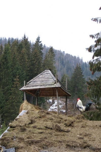 Viesmīlīgie Karpati - Ukrainas reģions, kur ikviens var smelties enerģiju no dabas un cilvēkiem 170884