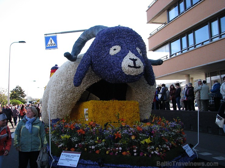 Ziedošie lauki ceļmalās un krāšņais Keikenhofas dārzs, kurā pabijis, šķiet, katrs trešais latvietis, pārsteidz ik pavasari. Foto: Una Griškeviča Ziedošie lauki ceļmalās un krāšņais Keikenhofas dārzs, kurā pabijis, šķiet, katrs trešais latvietis, pārsteidz ik pavasari. Foto: Una Griškeviča 173138