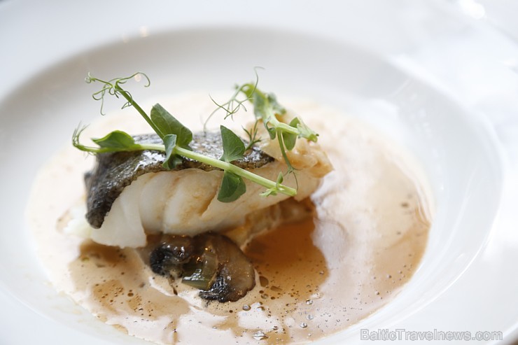 2016. gada 28. aprīlī «Vīna studija» gardēžiem dāvina burvīgas vakariņas ar Michelin šefpavāru Jeremi Fontin no Francijas 2016. gada 28. aprīlī «Vīna studija» gardēžiem dāvina burvīgas vakariņas ar Michelin šefpavāru Jeremi Fontin no Francijas 173534