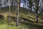 Travelnews.lv apskata Augstrozes pilskalnu