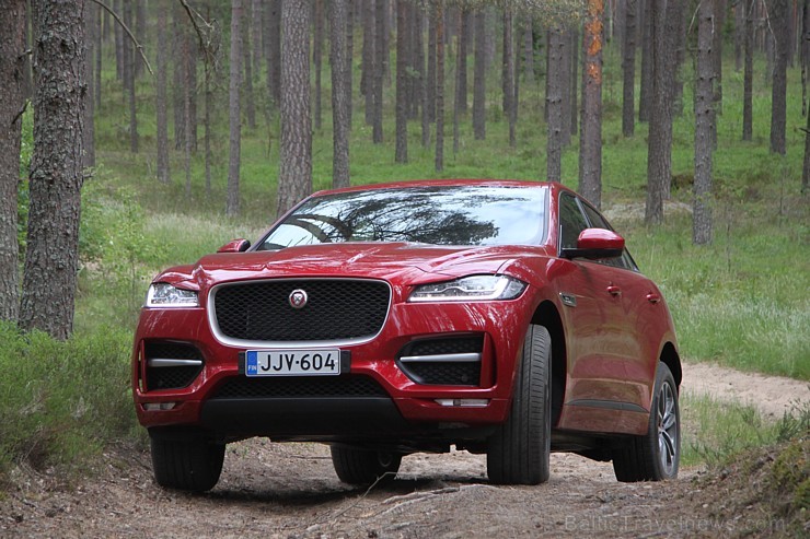 Travelnews.lv ceļo 7.06.2016 ar jauno «Jaguar» zīmola pirmo apvidus automobili  «F-Pace» 176312