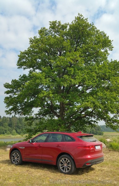 Travelnews.lv ceļo 7.06.2016 ar jauno «Jaguar» zīmola pirmo apvidus automobili  «F-Pace» 176316