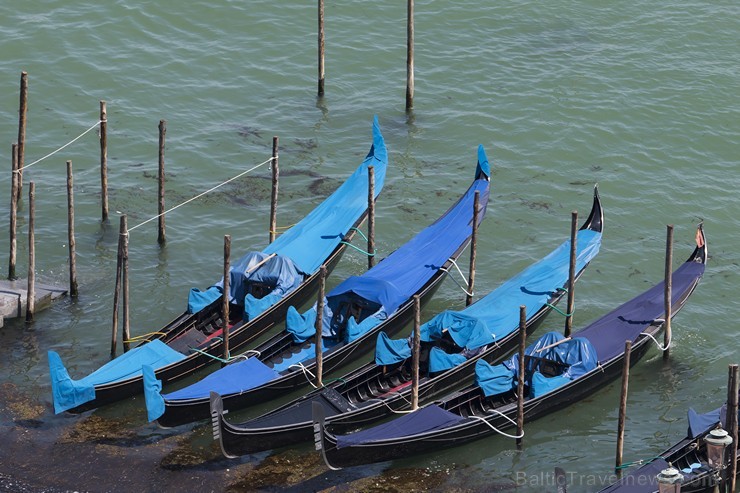 Travelnews.lv sadarbībā ar tūroperatoru Novatours apskata Venēciju no San Marco laukuma augstākā torņa Travelnews.lv sadarbībā ar tūroperatoru Novatours apskata Venēciju no San Marco laukuma augstākā torņa 176601