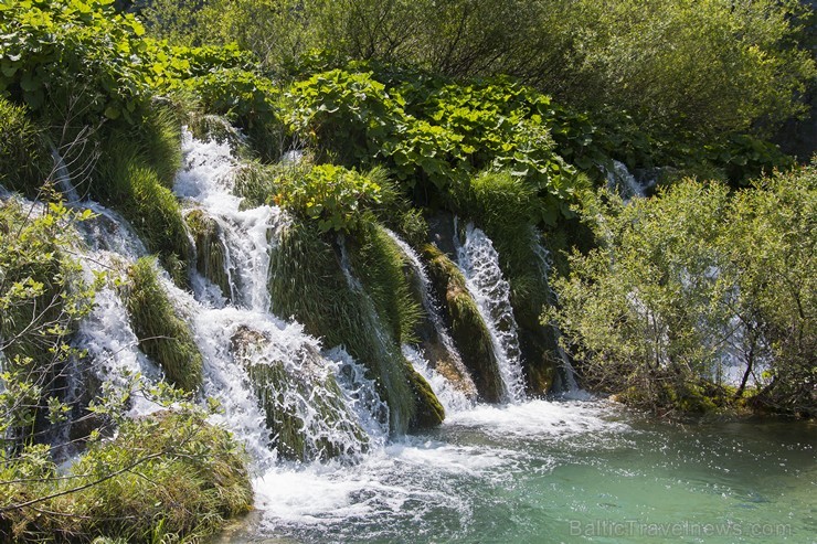 Travelnews.lv sadarbībā ar tūroperatoru Novatours apskata Plitvices ezerus, kas ir pirmais un lielākais Horvātijas nacionālais parks Travelnews.lv sadarbībā ar tūroperatoru Novatours apskata Plitvices ezerus, kas ir pirmais un lielākais Horvātijas nacionālais parks 176877
