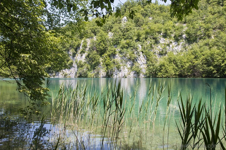 Travelnews.lv sadarbībā ar tūroperatoru Novatours apskata Plitvices ezerus, kas ir pirmais un lielākais Horvātijas nacionālais parks Travelnews.lv sadarbībā ar tūroperatoru Novatours apskata Plitvices ezerus, kas ir pirmais un lielākais Horvātijas nacionālais parks 176883