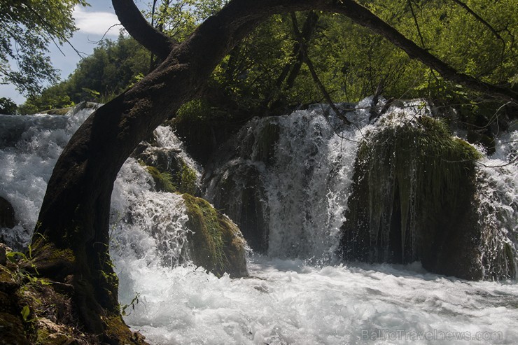 Travelnews.lv sadarbībā ar tūroperatoru Novatours apskata Plitvices ezerus, kas ir pirmais un lielākais Horvātijas nacionālais parks Travelnews.lv sadarbībā ar tūroperatoru Novatours apskata Plitvices ezerus, kas ir pirmais un lielākais Horvātijas nacionālais parks 176901
