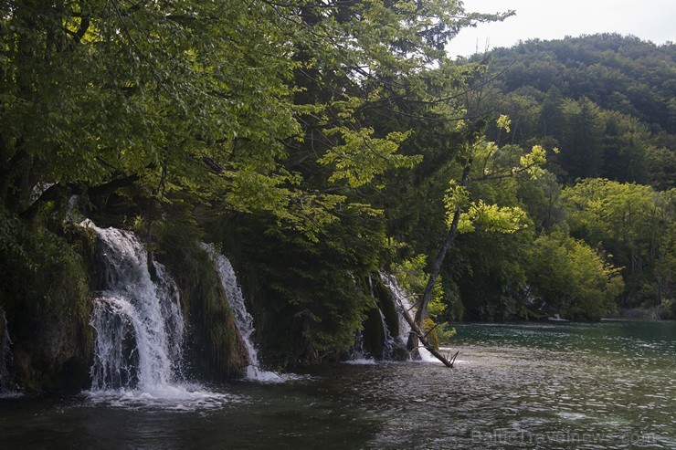 Travelnews.lv sadarbībā ar tūroperatoru Novatours apskata Plitvices ezerus, kas ir pirmais un lielākais Horvātijas nacionālais parks Travelnews.lv sadarbībā ar tūroperatoru Novatours apskata Plitvices ezerus, kas ir pirmais un lielākais Horvātijas nacionālais parks 176914