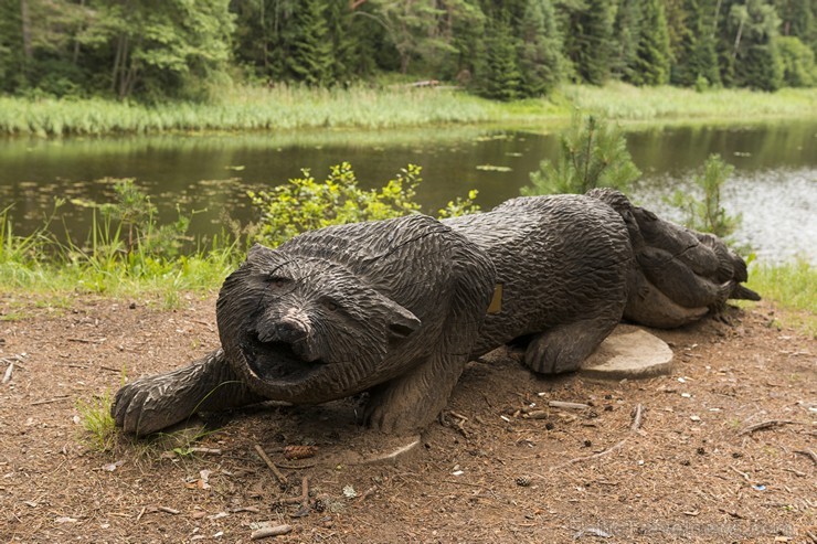 Ar Igaunijas pasaku varoņus attēlojošām koka skulptūrām izveidotajā un iezīmētajā takā atradīsi atvieglojumu daudzām veselības kaitēm. Takas garums ir 180533