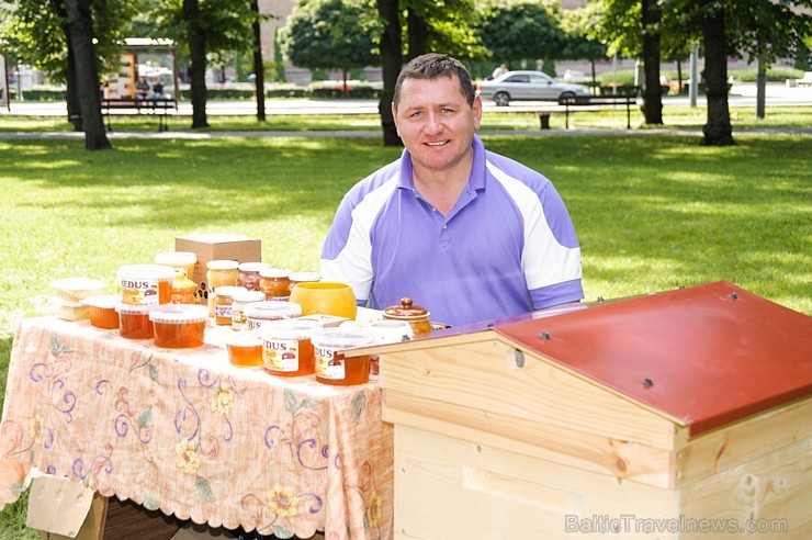 Ar medus, biškopības produktu un ķiploku tirdziņu, degustācijām, prezentācijām un konkursiem norisinājies pirmie Medus un ķiploku svētki Daugavpilī Ar medus, biškopības produktu un ķiploku tirdziņu, degustācijām, prezentācijām un konkursiem norisinājies pirmie Medus un ķiploku svētki Daugavpilī 182581