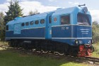 29