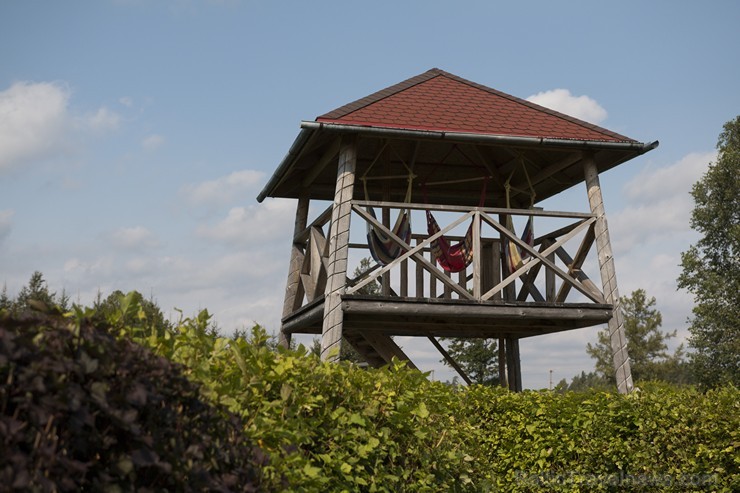Beverīnas koka skulptūru parks aizrauj gan pieaugušos, gan bērnus 183199