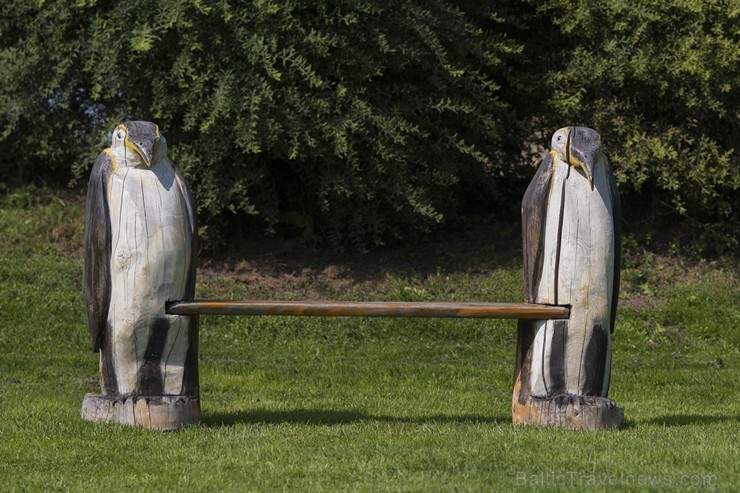 Beverīnas koka skulptūru parks aizrauj gan pieaugušos, gan bērnus 183204