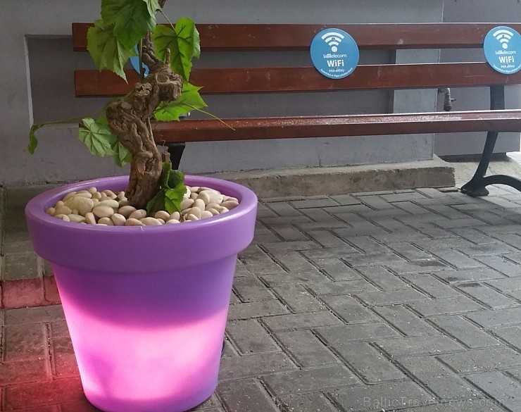 Daudziem rīdziniekiem vīna telpa jeb restorāns «Tinto» asociējas ar labu vīnu un gardām pusdienām Daudziem rīdziniekiem vīna telpa jeb restorāns «Tinto» asociējas ar labu vīnu un gardām pusdienām 187458