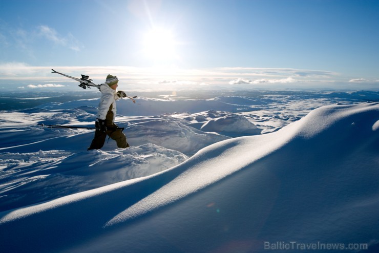 Foto: Henrik Trygg http://imagebank.sweden.se 190978