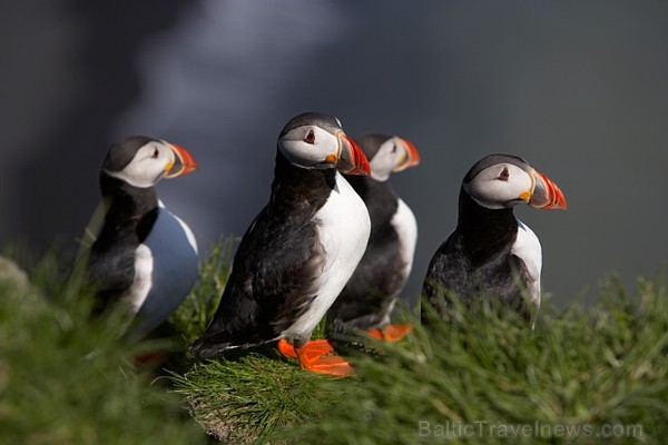 Vienmēr vilinošā Islande - aplūko, ko tā piedāvā saviem viesiem Foto: Ragnar Th. Sigurdsson, iceland.is Vienmēr vilinošā Islande - aplūko, ko tā piedāvā saviem viesiem Foto: Ragnar Th. Sigurdsson, iceland.is 192267