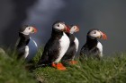 Vienmēr vilinošā Islande - aplūko, ko tā piedāvā saviem viesiem. Foto: Ragnar Th. Sigurdsson, iceland.is  