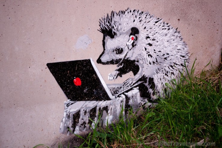 grafitti-1574031_960_720 193113