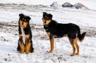 Neatklātais pasaules skaistums - aplūko Mongoliju
