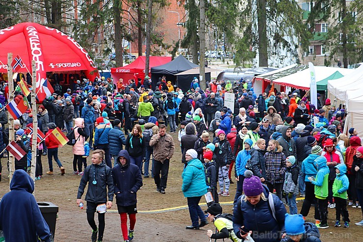 Ogres Zilo kalnu trases sniegā un lietū 15.04.2017 izskrien «Stirnubuks» susuri, vāveres, zaķi, stirnubuki un lūši Ogres Zilo kalnu trases sniegā un lietū 15.04.2017 izskrien «Stirnubuks» susuri, vāveres, zaķi, stirnubuki un lūši 195287