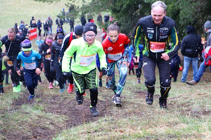 Ogres Zilo kalnu trases sniegā un lietū 15.04.2017 izskrien «Stirnubuks» susuri, vāveres, zaķi, stirnubuki un lūši Ogres Zilo kalnu trases sniegā un lietū 15.04.2017 izskrien «Stirnubuks» susuri, vāveres, zaķi, stirnubuki un lūši 195322