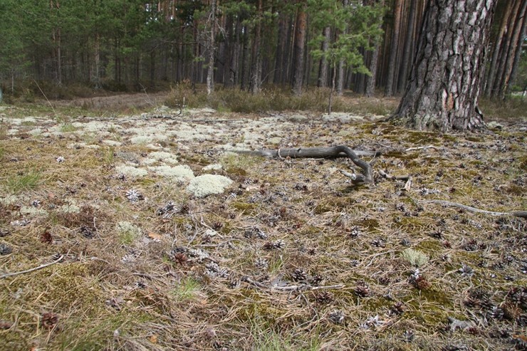 Travelnews.lv redakcija viesojas Saulkrastos un Baltajā kāpā 198257
