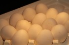88
