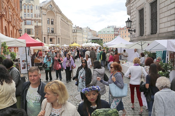 Zāļu tirgus Doma laukumā pulcē gan līksmos rīdziniekus, gan ziņkārīgos ārzemniekus 200724
