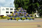 Valmiera tērpjas vasaras ziedu rotās