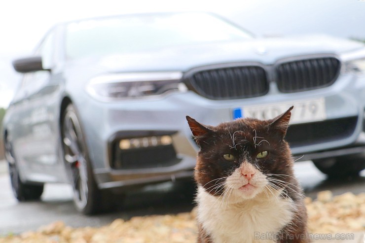Travelnews.lv ņem aktīvu dalību BMW M pieredzes pasākumā Biķernieku trasē 201378