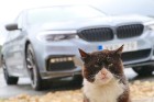 Travelnews.lv ņem aktīvu dalību BMW M pieredzes pasākumā Biķernieku trasē