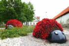 Travelnews.lv viesojas Ventspils Jūras svētkos