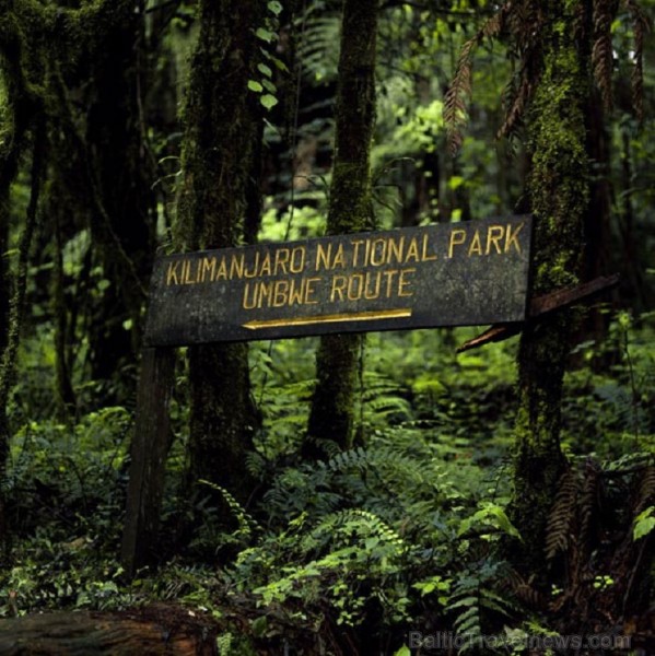 Kilimandžāro nacionālais parks Tanzānijā 202000