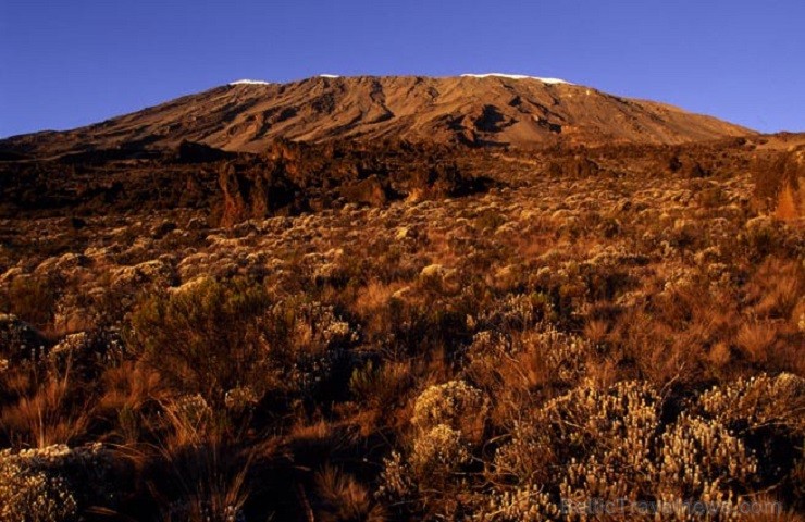 Kilimandžāro nacionālais parks Tanzānijā 202004