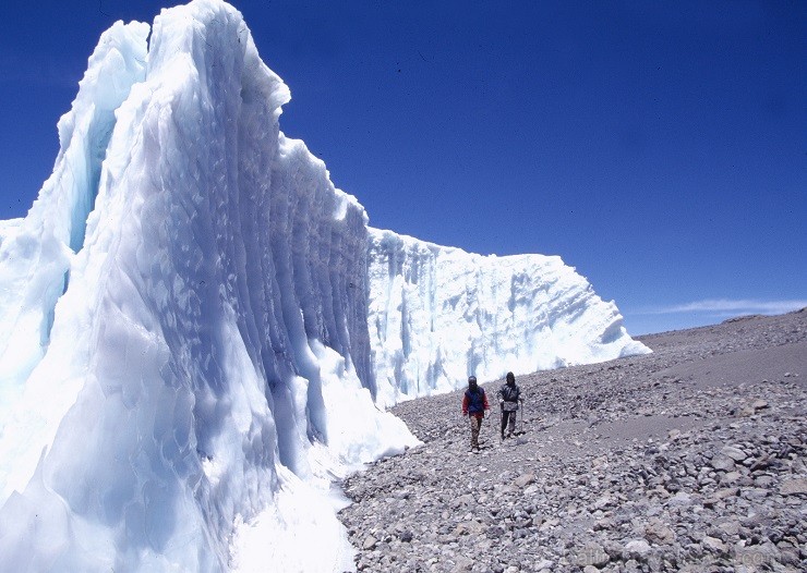 Kilimandžāro nacionālais parks Tanzānijā 202009